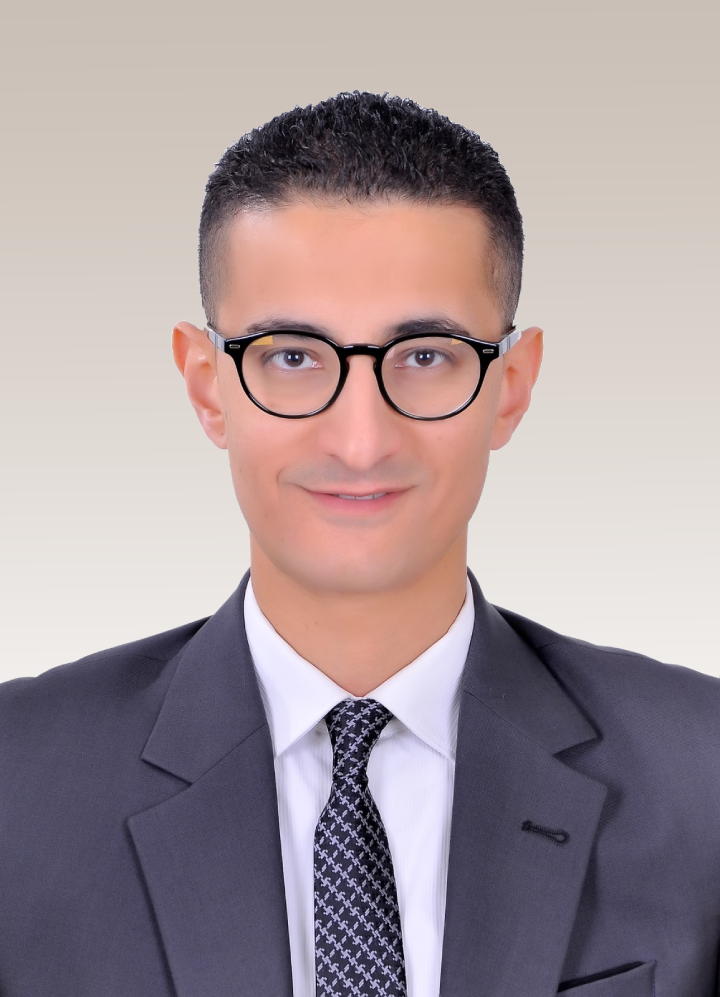 Hazem El-Zabalawy